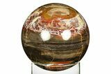 Colorful Polished Petrified Wood Sphere - Arizona #309208-1